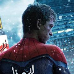 Spider-Man: No Way Home - AeK2MPOpYrOOgZNfFnfwp0L8tNn.jpg