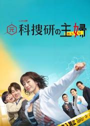 前科搜研的主妇