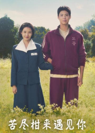 苦尽柑来遇见你