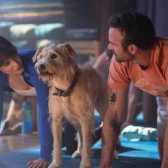 爱犬莫福 - 4I72uTykhVCSfTCS41m1fkDhjX3.jpg