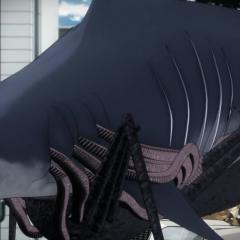 鱼 - 3HxcPqaDKPPiRU0Po0Z8VRh0DMq.jpg