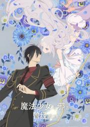 魔法少女与邪恶曾经敌对。
