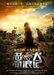忠犬流浪记