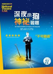 深夜小狗离奇事件
