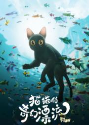 猫猫的奇幻漂流