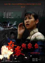 奇袭胡家台