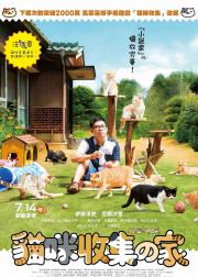 猫咪后院之家