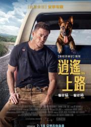 忠犬